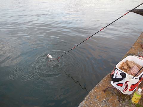 hi_20221030_24