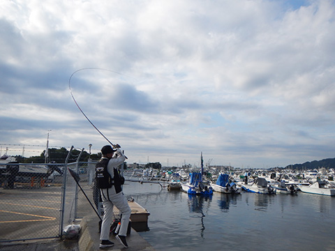 hi_20221030_26