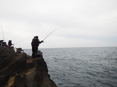 hi_20221120_36