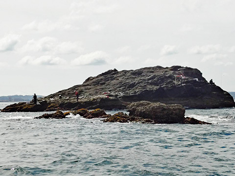 hi_20250527_19
