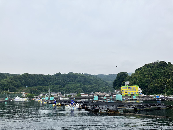 hi_20250608_02