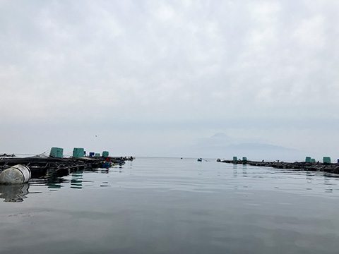 hi_20250608_19