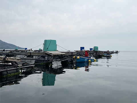 hi_20250608_20