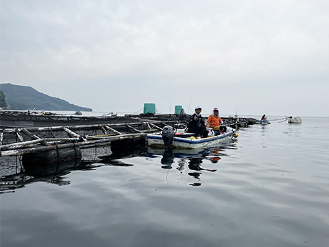 hi_20250608_22