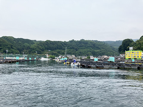 hi_20250608_23