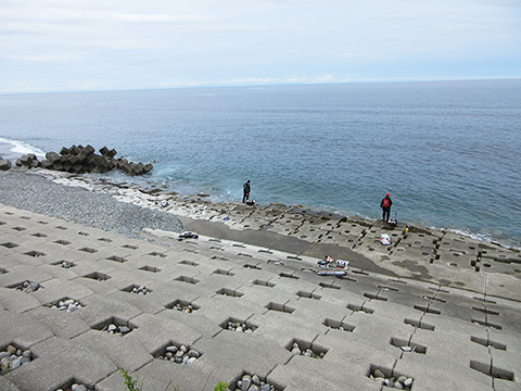 hi_20260524_31