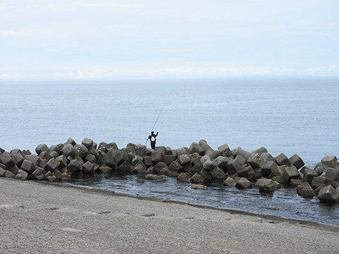 hi_20260524_32