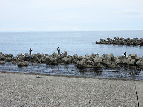 hi_20260524_36