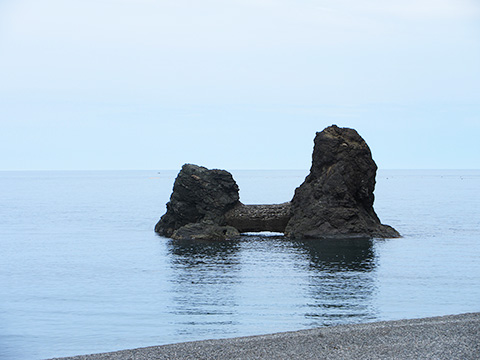 hi_20260524_67