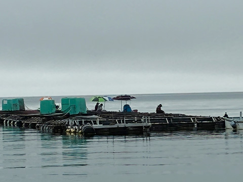 hi_20260621_26
