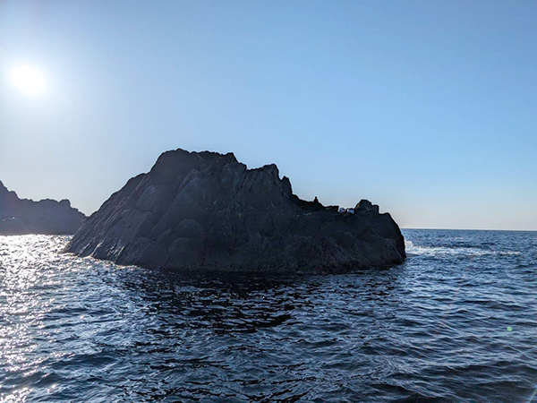 ka_20260517_03